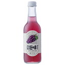 友桝飲料 山梨 巨峰サイダー 245ml瓶×24本入×(2ケース)| 送料無料 サイダー ぶどう グレープ 炭酸 葡萄