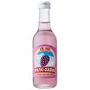 友桝飲料 ナガノパープルサイダー 245ml瓶×24本入×(2ケース)| 送料無料 サイダー ぶどう グレープ 炭酸 葡萄
