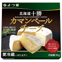 よつ葉乳業 よつ葉 北海道十勝 カマンベールチーズ 90g×12個入 メーカー 問屋直送 チルド 冷蔵品| 送料無料 チーズ 乳製品 北海道 よつ葉