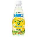 伊藤園 ニッポンエール 栃木県産 にっこり梨ソーダ 410mlペットボトル×24本入| 送料無料 炭酸 フルーツ 梨