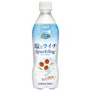 ダイドー ミスティオ 塩とライチスパークリング 410mlペットボトル×24本入| 送料無料 熱中症対策 炭酸 塩分 ライチ スパークリング