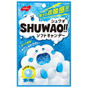 ノーベル製菓 SHUWAO!!(シュワオ) ソフトキャンデー ソーダ味 30g×6個入×(2ケース)| 送料無料 お菓子 ソフトキャンデー ソーダ 袋