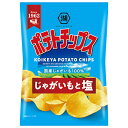 コイケヤ ポテトチップス じゃがいもと塩 55g×12袋入| 送料無料 お菓子 スナック菓子 しお ポテチ