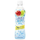 アサヒ飲料 しみわたるカルピス りんご&洋梨 490mlペットボトル×24本入×(2ケース)| 送料無料 カルピス 乳性果汁飲料 乳性 乳酸菌 ミックスジュース
