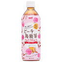 サーフビバレッジ ピーチ烏龍茶 500mlペットボトル×24本入×(2ケース)| 送料無料 お茶 ペットボトル 烏龍茶 ウーロン茶 桃 もも