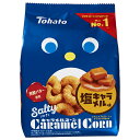 東ハト ソルティ キャラメルコーン 67g×12袋入 メーカー 問屋直送| 送料無料 お菓子 おかし スナック 菓子 塩 キャラメル ナッツ