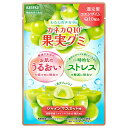 カネカ食品 カネカQ10果実グミ シャインマスカット味 40g×10袋入×(2ケース)| 送料無料 グミ 果汁 ジュレ チャック付 コエンザイム 機能性表示食品 ストレス うるおい マスカット