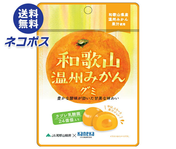 ネコポス カネカ食品 和歌山温州みかんグミ ラブレ乳酸菌入 40g×10袋入｜ 全国送料無料 お菓子 グミ 果汁 ジュレ ラブレ乳酸菌 ラブレ 乳酸菌 チャック付き 腸内環境 みかん