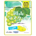 カネカ食品 岡山マスカットグミ ラブレ乳酸菌入 40g×10袋入×(2ケース)| 送料無料 お菓子 グミ 果汁 ジュレ ラブレ乳酸菌 ラブレ 乳酸菌 チャック付き 腸内環境 マスカット
