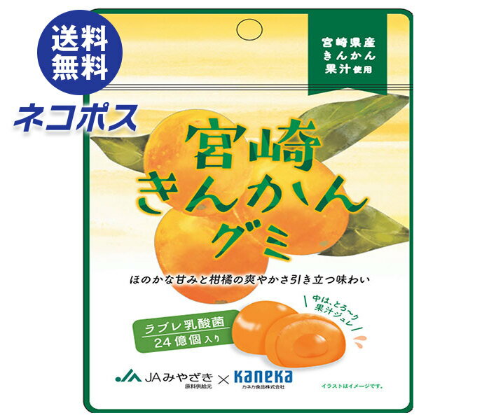 ネコポス カネカ食品 宮崎きんかんグミ ラブレ乳酸菌入 40g×10袋入｜ 全国送料無料 お菓子 グミ 果汁 ジュレ ラブレ乳酸菌 ラブレ 乳酸菌 チャック付き 腸内環境 金柑 キンカン