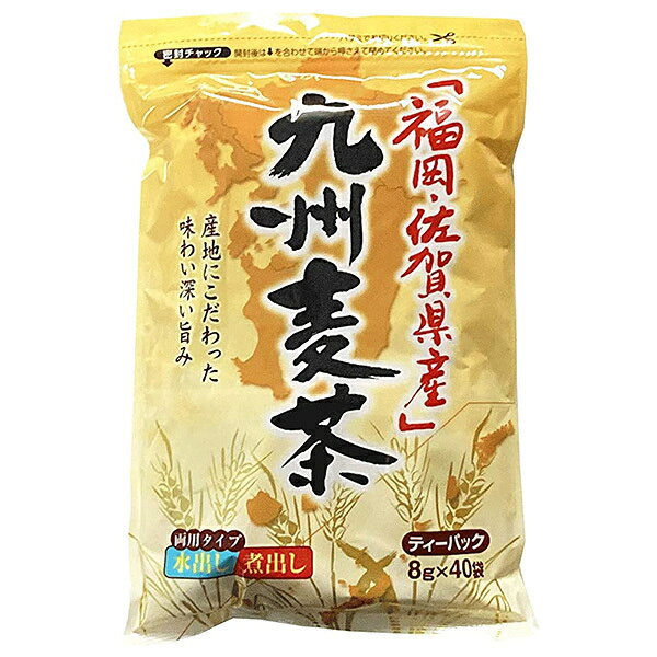 ちきりや 福岡・佐賀県産 九州麦茶ティーパック (8g×40袋)×20袋入｜ 送料無料 むぎ茶 ティーバッグ