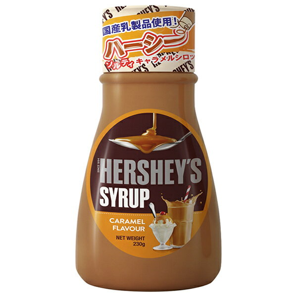 リードオフジャパン ハーシー キャラメルシロップ 230g×24本入｜ 送料無料 調味料 シロップ キャラメル..
