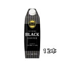 伊藤園 TULLY’S COFFEE MY HOME BLACK COFFEE 紙パック屋根型キャップ付容器 1L×6本×(2ケース)