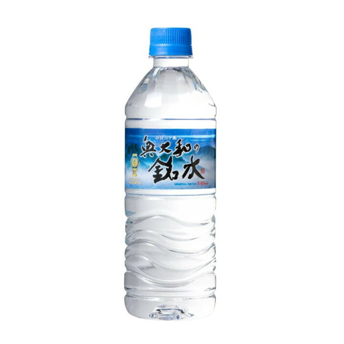 永伸商事 奥大和の銘水 PET 540ml×24本×(2ケース)