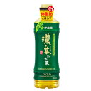 伊藤園 おーいお茶濃い茶 PET 600ml×24本×(2ケース)