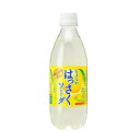 『賞味期限：2024年6月23日』サンガリア うましゅわ はっさくソーダ PET 500ml×24本×(2ケース)