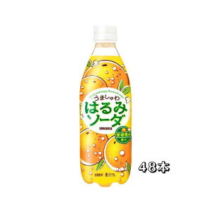 『賞味期限:7月28日』サンガリア うましゅわはるみソーダ PET 500ml×24本×(2ケース)