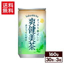 コカ・コーラ 爽健美茶 160g 缶 30本入り×3ケース