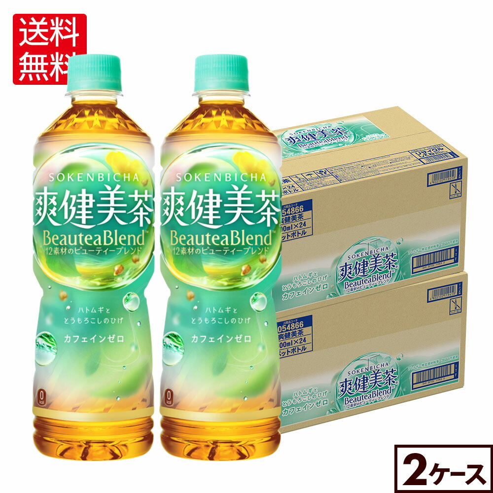 コカ・コーラ 爽健美茶 600ml ペットボトル 24本入り×2ケース【送料無料】