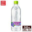 コカ・コーラ い・ろ・は・す ハスカップ 540ml ペットボトル 24本入り×2ケース【送料無料】北海道工場製造