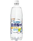 【送料無料】サンガリア 伊賀の天然水 強炭酸水レモン 1L（1000ml） 2ケース（24本）