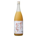 梅乃宿 あらごし ジンジャー酒 1.8L瓶 1本 1800ml お酒 あらごしシリーズ 生姜 にごり酒 酒 梅の宿 リキュール ギフト プレゼント 手土産 お返...