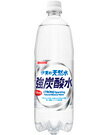 【送料無料】サンガリア 伊賀の天然水 強炭酸水 1L（1000ml）ペット 1ケース12本