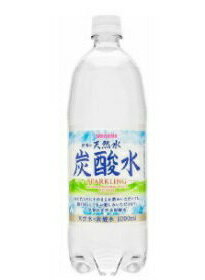 【2ケース】【送料無料】サンガリア 伊賀の天然水炭酸水 1000ml（1L）ペット 1ケース12本×2ケース