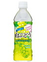 サンガリア すっきりと白ぶどう 500ml 1ケース24本セット 送料無料 ペットボトル PET 果実飲料 ジュース 果汁飲料 ぶどう グレープ ソフトドリンク 飲料 飲み物 ドリンク おすすめ おいしい まとめ買い ギフト プレゼント 贈り物 お祝い 誕生日 内祝い お返し