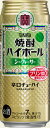 あす楽 宝酒造 タカラ 焼酎ハイボール シークワーサー 500ml 2ケース48本セット 送料無料 缶 チューハイ 缶チューハイ ハイボール カクテル 男性 男 お酒 酒 家飲み 宅飲み 晩酌 女性 女 おすすめ まとめ買い おいしい ギフト シークァーサー シークヮーサー