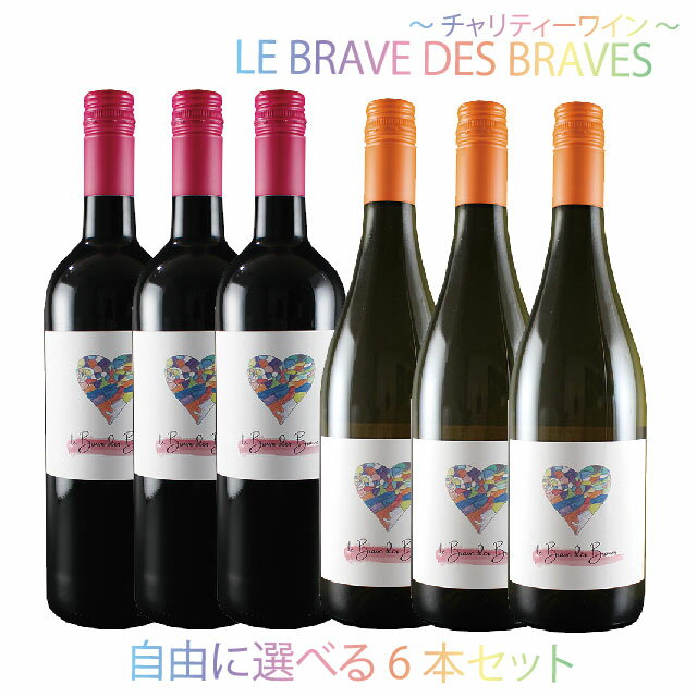 選べる赤白6本セット ル ブラーヴ デ ブラーヴ シラー 赤 ヴィオニエ 白 750ml 送料無料 フランス ラングドック ルーシヨン チャリティーワイン ワイン お酒 酒 家飲み 宅飲み 晩酌 おすすめ おいしい まとめ買い ギフト プレゼント 贈り物 お祝い 誕生日 内祝い 184674-5