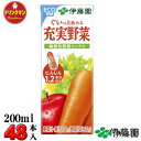 伊藤園 充実野菜 緑黄色野菜ミックス 200ml×24本×2ケース 送料無料(一部地域を除く) あす楽対応