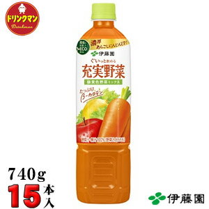 ペットボトル 伊藤園 野菜ジュース 充実野菜 緑黄色野菜ミックス PET 740g×15本