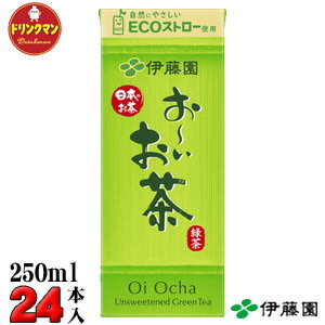 紙パック お茶 伊藤園 お～いお茶 緑茶 250ml×24本 送料無料（一部地域を除く）