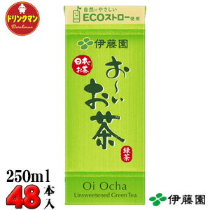 紙パック お茶 伊藤園 お～いお茶 緑茶 250ml×24本×2ケース 計48本 送料無料（一部地域を除く）