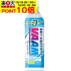★全商品ポイント10倍★　VAAM ヴァームウォーター 500ml×24本 〔42%OFF〕（バーム）