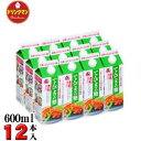 やまと蜂蜜てんてきの糖600g(紙パック)×12本 送料無料(一部地域を除く)