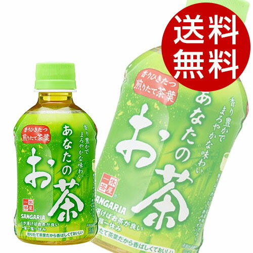 緑茶 280ml PET あなたのお茶 48本 サンガリア『送料無料（一部地域除く）』
