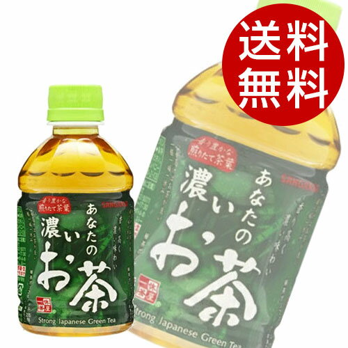 Rakuten - 緑茶 280ml PET あなたの濃いお茶 48本 サンガリア『送料無料（一部地域除く）』
