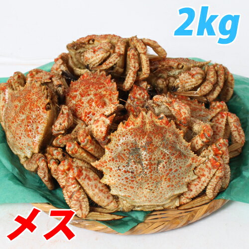 〔メス〕 青森むつ湾 とげくり蟹 2kg(13〜17杯) 【代引不可】【送料無料】