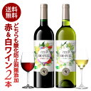 ＜＜ ITEM INFORMATION ＞＞ 名称 お試し 酸化防止剤無添加ワイン ヴィネアム ビオ フル 赤ワイン 白ワイン 2本 セット 商品詳細 酸化防止剤無添加の赤ワイン、白ワインのセットです。 酸化防止剤無添加ワインとは・・・ 通...