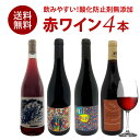 ＜＜ ITEM INFORMATION ＞＞ 名称 フランス 酸化防止剤無添加 赤ワイン 4本 セット 商品詳細 4本全部、酸化防止剤無添加、フランス産のナチュール赤ワイン。ナチュールワインの中でも、特に飲みやすい赤ワインを選びました。 ＜こんな方におすすめ＞ ・自然派ワインに興味のある方 ・「スルスル飲めるワインが好き」という方 酸化防止剤無添加ワインとは・・・ 通常のワインは、品質や味を安定させるために酸化防止剤（亜硫酸、SO2、ビタミンなど）が添加されますが、酸化防止剤無添加ワインには、それらの物質の添加を行っていません。添加物無しでもその品質と美味しさを保つため、ブドウ栽培から醸造の全工程を厳しく管理されています。 セット内容 1 ドメーヌ デ バルメット フラワー パワー ビオロジック農法。泥灰土、黒色片岩。南・南東向き。20kgの小かごで手摘収穫。グルナッシュは全房マセラシオン、マカブーはダイレクトプレス。 グルナッシュは コンクリートタンク、マカブーは木樽での発酵・8カ月の熟成。発酵後・瓶詰め前に澱引き。 ノンフィルター、ノンコラージュ、亜硫酸（SO2）無添加。春と ヒッピームーブメントへのオマージュを込めた名前。ラズベリー、チェリーの香りと白い花（アカシア）のフィニッシュ。 ［原産地］フランス　ルーション ［タイプ］赤 ［品種］グルナッシュ 70%、 マカブー 30% 2 ドメーヌ デ バルメット ピフ パフ ビオロジック農法。黒色泥灰土、東南東、収量20hl/ha、標高80m、手摘収穫、亜硫酸（SO2）無添加。 2010年植樹のグルナッシュ、1989年植樹のシラーを使用。30hlのコンクリートタンクで7ヶ月間熟成。 ブルーベリージャムのような甘み、滑らかな舌触り。開けたてはグルナッシュのフレッシュな果実味の印象がつよく、時間がたつほどに丸みが増し、シラーのニュアンスが花開く。 キュヴェ名は、音楽に打ち込んだ当主サラニ氏の若かりし時代を振り返り、パンクグループ＜Ludwig Van88＞のMonsieur PIF PAFという曲へのオマージュを込めた。 ［原産地］フランス　ルーション ［タイプ］赤 ［品種］グルナッシュ 70% 、シラー 30% ＜生産者情報＞ ドメーヌ・デ・バルメットはフランス南西部の都市ペルピニャンに程近いCases-de-Pène村の4haの畑から2003年にスタートしたドメーヌ。（現在は9haまで拡大）当主リュシアン・サラニは、豪快で愉快で心優しい田舎のおじさんと言った面持ち。かつてはブルゴーニュのクロード・マレシャル等で働いていた経歴を持ち、ビオロジック農法で丁寧なワイン作りを行う情熱家。優しい味わいで、すっと喉に流れていくような綺麗なスタイル。南のワインを思わす強さはなく、極まれに出会う南のソワフワイン！ ブルゴーニュでブドウ栽培に携わった影響でリュシアンは熱心なモノセパージュ(単一品種)支持者。「複数の異なるブドウをアサンブラージュしてテロワールの個性を表現することは非常に難しいことだ（コープランタシオンを除く）が、ビオロジック農法で育てられたブドウでならば唯一その表現を可能にしてくれる」という哲学のもと、アサンブラージュワイン作りにも挑んでいる。また、畑においてもカーヴにおいても化学的な物は一切使用していない。（全てのワインにおいて人工酵母や酵素、酸化防止剤などは一切添加しない） 3　ピエール ジル ユゼン ランスタン ダプレ カベルネ フラン 亜硫酸（SO2）無添加。樹齢60年のカベルネ・フランを使用。全房を15日間醸して醸造。 やや透明感があり、輝きのある、明るく美しい赤色。カシスやフランボワーズを思わせるチャーミングな果実味。ソフトな酸味とタンニン。果実そのものの味わいをストレートに感じられ、体に染み渡るような印象のワイン。 ［原産地］フランス　ロワール ［タイプ］赤 ［品種］ カベルネ フラン 100% ＜生産者情報＞ Sud-Finistere出身の彼は仕事でアンジェに移り、そこで理想的な生活とのバランスに欠ける感じを抱いた。しかし、地域には自然派ワインを造る可能性があり、知り合いや口コミを通じて自身のワイン生産プロジェクトを進めていくことになる。 彼は数か所の畑を取得し、厳しい有機栽培規格に従い、自然な処理を行いながら、自分のテロワールを表現することに情熱を注いでいる。彼のワインにはシュナンやカベルネ・フランなど、地域の特性を生かした個性があり、新たな地平線を切り開くために地域の支援と協力を大切にしている。 4 ドメーヌ ジュモ― クロ デ シャテニエ IGT ヴァル ド ロワール 土着酵母での醸造。土壌は、地下30～40cmは粘土質の砂、砂利、その下に花崗岩質と片岩質の土壌という構成の区画。畑は、東北東（ピノ）と南東（フラン）向きに位置する。キュヴェ名通り畑はシャテニエ（栗の木）に囲まれている。 カシスなど小さな赤い実のベリーを思わせる果実のアロマ、非常になめらかなワイン。亜硫酸（SO2）無添加。 ［原産地］フランス　ロワール ［タイプ］赤 ［品種］ピノ ノワール、 カベルネ フラン ＜生産者情報＞ ドメーヌ・デ・ジュモーは、ロワール地方Vendee県のChaille-sous-les-Ormeauxに11haの畑を所有するドメーヌ。（一部はTalmont-Saint-Hilaireにシュナンの区画有）　2009年からビオ移行期に入り、2011年にエコセール認証を得ている。 畑では環境に配慮したビオディナミ農法を採用。化学肥料や除草剤などは一切使用せず、ブドウの病気に対してはビオ調剤を使用し、収穫は完全に手作業で行う。 当主のジャン・マルク・タールは、父親が醸していた発酵中のワインの香りを初めて嗅いだ瞬間にその香りのすばらしさにすっかり魅了され父親と同じワイン作りの道に入ることを決意。 ※ワインのラベル表記に関して※ 酸化防止剤無添加のワインでも、ごく少量、亜硫酸塩＝SO2が自然生成されることがあります。そのため、販売ページに酸化防止剤無添加と表記のあるワインであっても、商品によっては裏ラベルに亜硫酸塩の含有が記載されている場合がありますので、予めご了承ください。 セパージュ 商品ページ内に記載 内容量 750ml×4本 保存方法 15度以下の冷暗所で保管ください。 原産国名 商品ページ内に記載 輸入者 日仏商事 株式会社 兵庫県神戸市中央区御幸通5-2-7 出荷日/着日 配送方法 冷蔵のみ 同梱包 冷蔵配送の商品と同梱が可能です。 ※予約商品との同梱の場合は、予約商品の発送日にあわせて発送させていただきます。 ※ワインは12本まで1配送でお届け可能です。 備考 ※写真はイメージです。実際にお届けの商品は形状やパッケージが異なる場合があります。 ※ナチュールワイン特有の香り、味わいがある場合がありますが、品質に問題はありません。 ※濾過、清澄を行っていない商品は澱が沈殿する場合がありますが、品質に問題はありません。澱を確認した際は、ボトルを揺らさないよう、ゆっくりとグラスに注いでください。 ※酸化防止剤（亜硫酸塩＝SO2）無添加のワインでも、ごく少量自然生成されることがあります。 ギフトやお祝い等、様々なシーンで当店の商品をぜひご利用ください。 お祝い お祝い 御祝い 祝い 御祝 内祝い 結婚 ウエディング ブライダル 金婚式 銀婚式 御結婚 ご結婚 結婚御祝 結婚祝い 結婚内祝い 結婚式 引き出物 引出物記念日 合格祝い 進学祝い 御成人祝 成人祝い 卒業記念品 卒業祝い 入学祝い 入学内祝い 小学校 中学校 高校 大学 就職祝い 社会人 幼稚園 保育園 入園内祝い 御出産祝 ご出産 出産祝い 出産内祝い 新築祝い 新築内祝い 新築 御誕生日 誕生日 お誕生日 バースデー バースデイ バースデープレゼント 七五三御祝 七五三内祝い 753 初節句 節句 季節お歳暮 御歳暮 新年 お正月 御正月 正月 御年賀 お年賀 年賀 御年始 成人式 愛妻の日 バレンタインデー フラワーバレンタイン ホワイトデー 受験 ひな祭り 桃の節句 卒業 卒業式 卒園式 イースター 復活祭 入学 入学式 入園 入園式 母の日 ははのひ 母の日参り 遅れてごめんね ゴールデンウィーク GW ゴールデンウイーク 子供の日 こどもの日 父の日 七夕 暑中見舞い 暑中御見舞 サマーギフト 初盆 お盆 御中元 お中元 お彼岸 暑中見舞い 暑中御見舞い 残暑御見舞 残暑見舞い 敬老の日 ハロウィン ハロウィーン 七五三 いい夫婦の日 寒中お見舞 ウィンターギフト クリスマス Xmas クリスマスプレゼント 春 夏 秋 冬 手土産ギフト 贈り物 プレゼント お返し お礼 御礼 お見舞い 御見舞 退院祝い 全快祝い 快気祝い 快気内祝い 御挨拶 ごあいさつ 挨拶 あいさつ 引越し 引っ越し お宮参り 志 進物 プチギフト 本命 義理 退職 退任 餞別 御餞別 お餞別 プチプレゼント 内祝い 内祝 お祝い返し 出産 出産内祝い ミニギフト プチ コンサート ライブ イベント 差入れ 差し入れ 個展 発表会 普段使い 普段 自宅 玄関 リビング 居間 法人向けビジネス 職場 オープン記念 開店祝い 開店お祝い 御開業祝 ご開業 周年記念 昇格祝い 就任祝い 昇進祝い 昇進 異動 転勤 定年退職 退職 退職祝い 退職祝 離任式 送別会 歓迎会 歓送迎会 新入社員 挨拶回り 転職 贈答品 粗品 謝罪 謝礼 謝礼品 おもたせ 手土産 心ばかり 寸志 接待 入社式 就任式 歓迎会 新歓 歓送迎会 歓迎 送迎 新年会 忘年会 二次会 2次会 記念品 景品 開院祝い 受付 来客 待合室 応接室 大切な人にお父さん 父 お母さん 母 おじいちゃん 祖父 おばあちゃん 祖母 妻 夫 家族 両親 実家 両家 男性 女性 彼氏 彼女 恋人 新郎 新婦 年配 女の子 おんなのこ 男の子 おとこのこ 友人 友達 職場 上司 同僚 同期 先輩 後輩 取引先 恩師 20代 30代 40代 50代 60代 70代 80代 90代 弔事御供 お供え お供 お供え物 お悔み お悔やみ 御悔 粗供養 御仏前 御佛前 御霊前 お花代 お花料 香典返し 返礼品 仏事 法事 法要 法事引き出物 法事引出物 年回忌法要 四十九日 四十九日法要 一周忌 三回忌 七回忌 十三回忌 十七回忌 二十三回忌 二十七回忌 仏壇 関連ワード： オーガニックワイン オーガニック オーガニック認証 オーガニック認証ワイン 酸化防止剤無添加 酸化防止剤 酸化防止剤無添加ワイン 亜硫酸 亜硫酸無添加 亜硫酸無添加ワイン 亜硫酸塩 亜硫酸塩無添加 亜硫酸塩無添加ワイン 無添加ワイン 保存料 保存料無添加 保存料無添加ワイン 有機 有機栽培 有機ワイン ビオワイン ビオロジック BIO BIOワイン 自然派 自然派ワイン 無農薬 無農薬ワイン SO2無添加 SO2 ナチュールワイン ナチュラルワイン ヴァンナチュール ヴィーガンワイン ヴィーガン ヴィーガン認証 ユーロリーフ エコセール