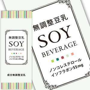 [1ケース購入でもう1ケースプレゼント]無調整豆乳 SOY BEVERAGE [ソイ ビバレッジ] 200ml紙パック×24本［賞味期限：2020年12月29日］【3〜4営業日以内に出荷】【送料無料】プロテイン ヘルシー 大豆 たんぱく質 イソフラボン アイス 糖質