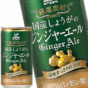 神戸居留地 国産しょうがのジンジャーエール 185ml缶×60本［20本×3箱］北海道、沖縄、離島は送料無料対..