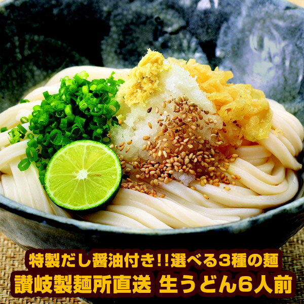 讃岐製麺所直送 生うどん6人前（300g×2P）［だし付き］選べる3種（通常麺/極太麺/平切り麺）メール便でお届け【4～5営業日以内に出荷】【送料無料】