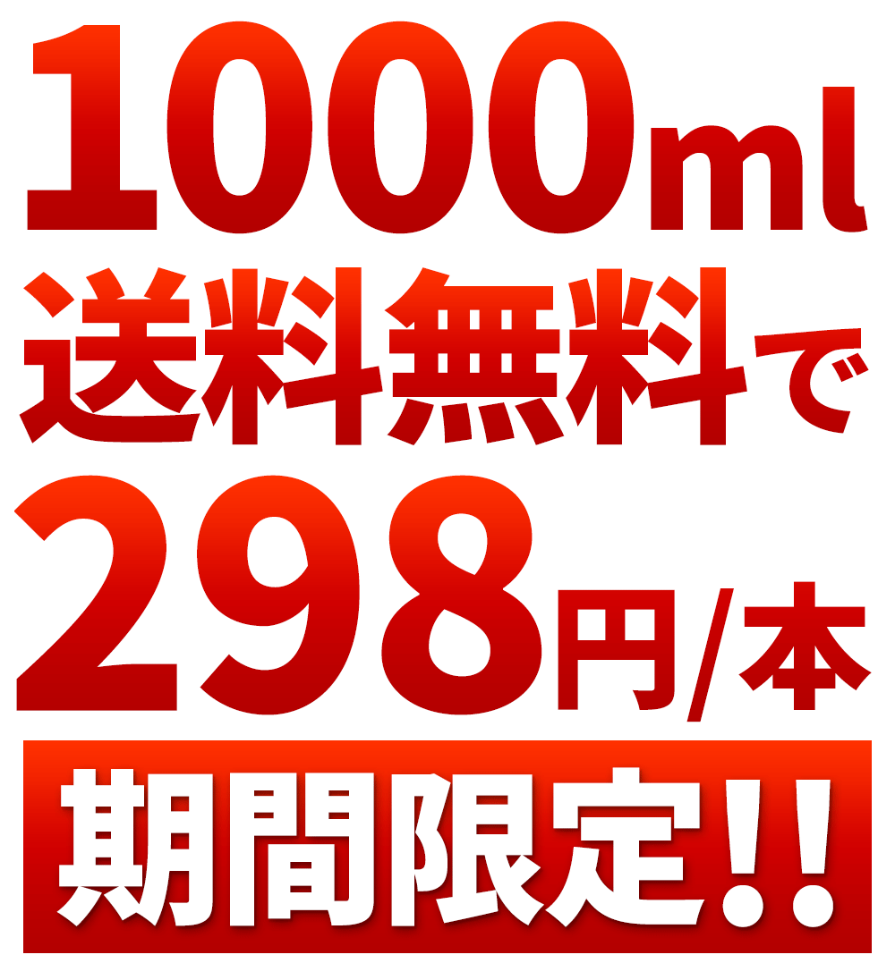 九州乳業　みどり豆乳　成分無調整豆乳　1L紙パック×6本［賞味期限：製造日より120日］［送料無料］【3〜4営業日以内に出荷】ヘルシー 大豆 たんぱく質 イソフラボン アイス 糖質 1000ml 1リットル