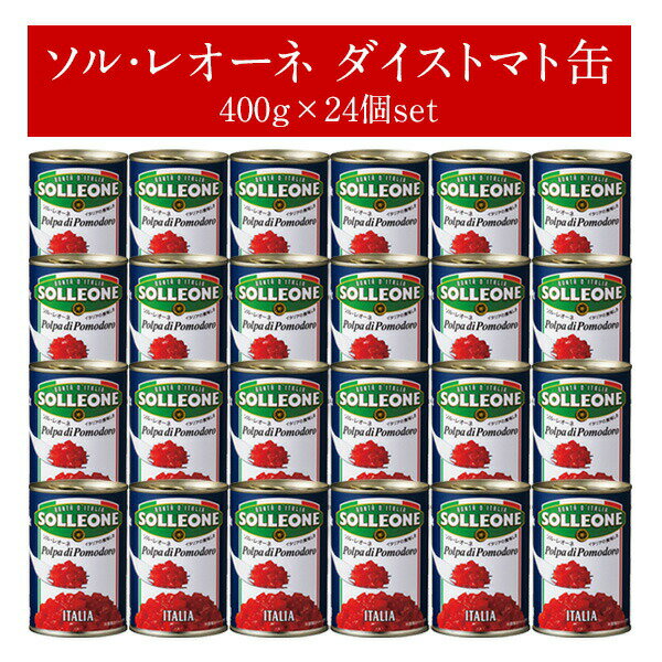 ソル・レオーネ ダイストマト缶400g×24個（1ケース）［常温/冷蔵可］【2～3営業日以内に発送】【送料無..