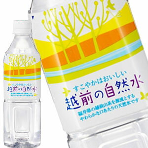 ハイピース 越前の自然水 500mlPET×48本[24本×2箱]【3～4営業日以内に出荷】