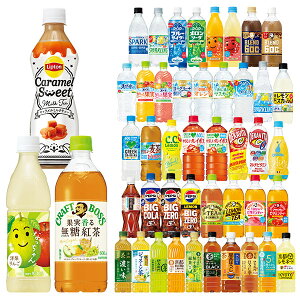 [送料無料]サントリー 人気PET飲料 420～600ml×48本[24本×2箱] 選り取り【3～4営業日以内に出荷】［賞味期限：2ヶ月以上］【送料無料】 伊右衛門 ボス ペプシ グリーンダカラ デカビタ 天然水 お茶 天然水炭酸水 なっちゃん デカビタ