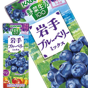 [送料無料][在庫処分] カゴメ 野菜生活100 岩手ブルーベリーミックス 195ml紙パック×24本【2～3営業日以内に出荷】[賞味期限：2024年5月12日]